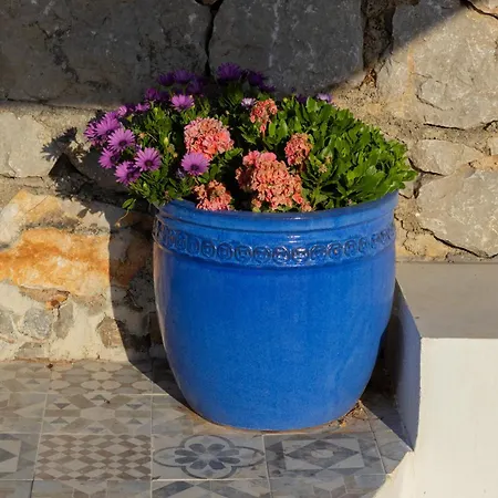 Aura Petra Palermo